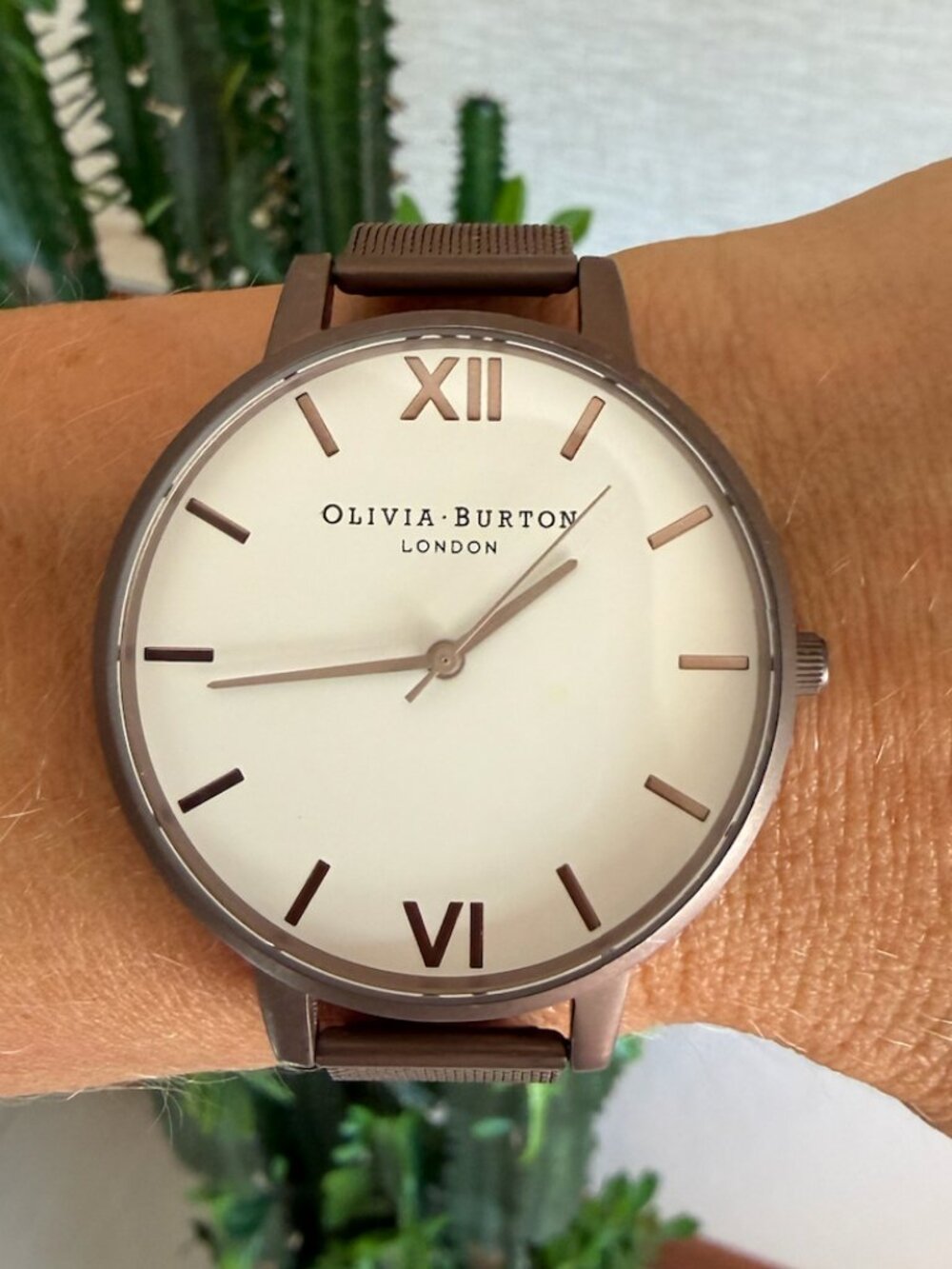 Olivia Burton Bronze Stainless Steel watch